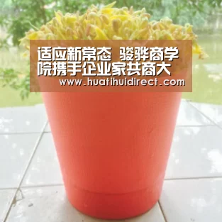 华体会平台
