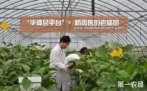 ‘华体会平台’*
新零售的老尴尬(图2) 华体会官网