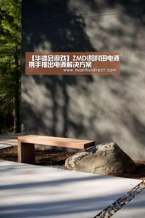 【华体会游戏】ZMDI和村田电源携手推出电源解决方案(图2) 华体会官网
