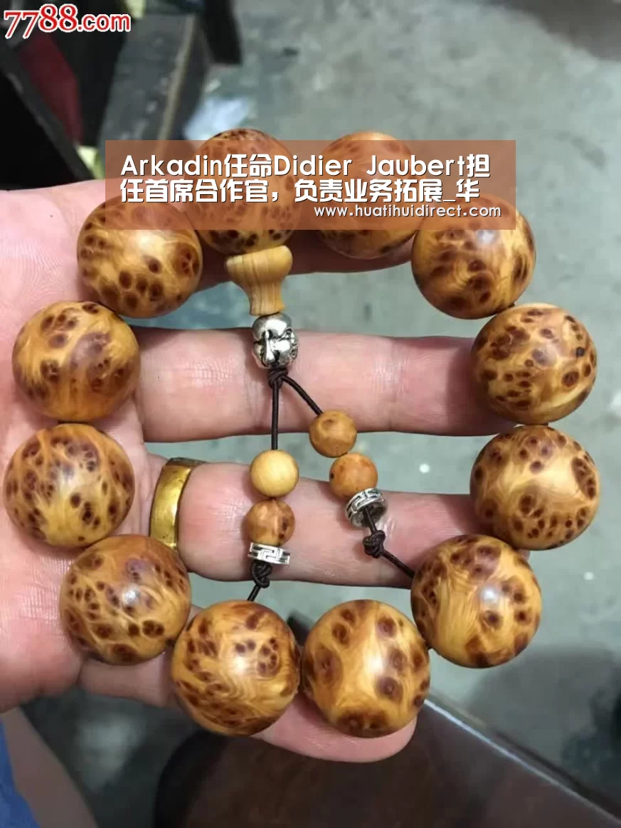 Arkadin任命Didier Jaubert担任首席合作官,负责业务拓展_华体会平台(图1) 华体会游戏