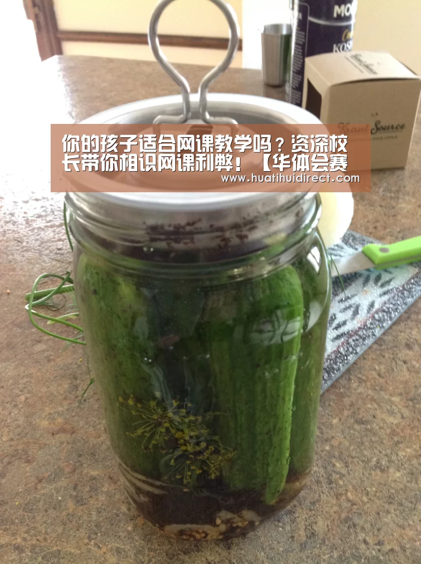 你的孩子适合网课教学吗?资深校长带你相识网课利弊!【华体会赛事】(图2) 华体会平台