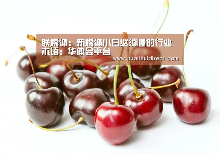 联媒体:新媒体小白必须懂的行业术语:华体会平台(图1) 华体会官网